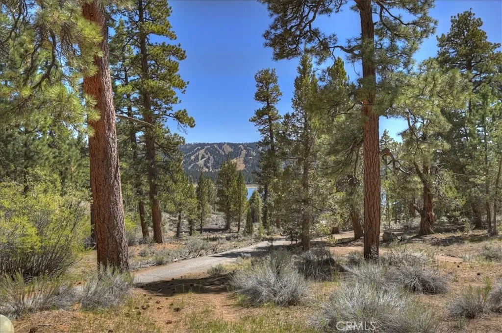 Additional image 87 of 4 Lakeview Track, Fawnskin, CA 92333