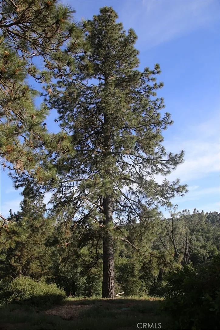 Additional image 69 of 5636 E Whitlock Rd, Mariposa, CA 95338