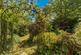 Additional image 25 of Oakmere Avenue, Potters Bar, EN6