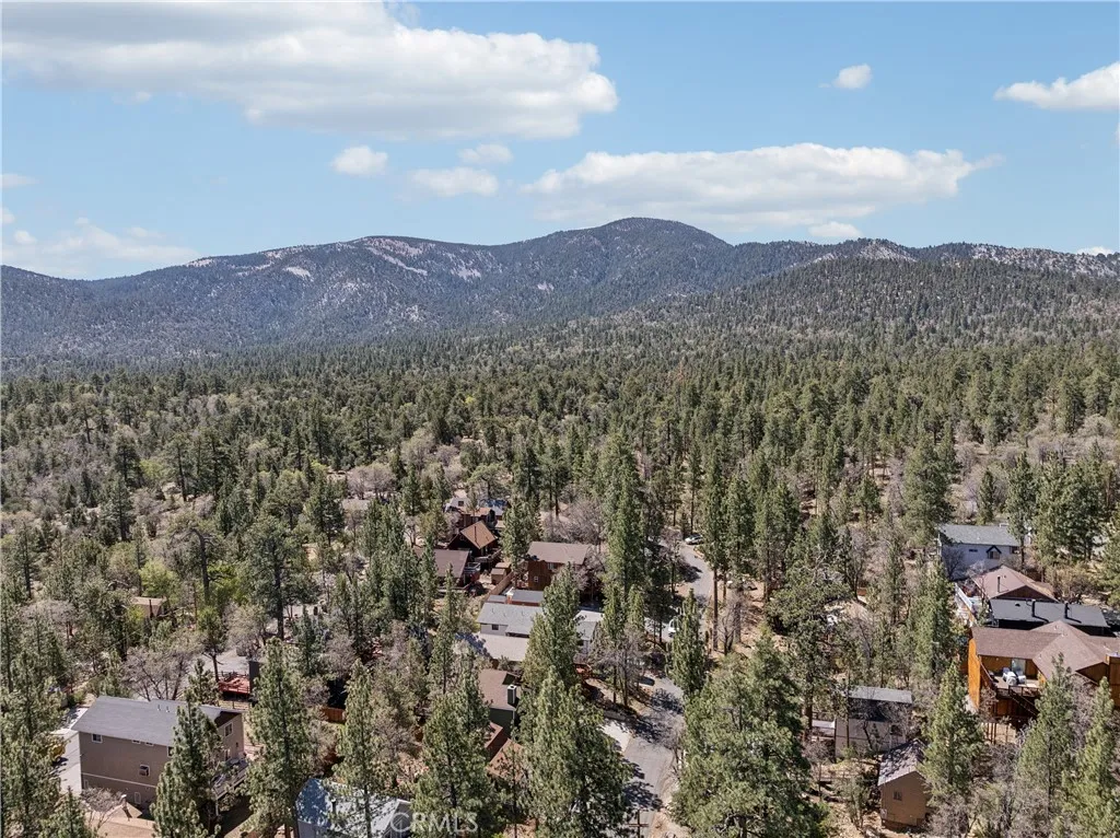 Additional image 71 of 879 Spruce Lane, Sugarloaf, CA 92386