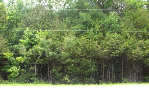 Additional image 5 of 5500 & 5510 Downey Road, Ottawa, ON, K1X 1C8