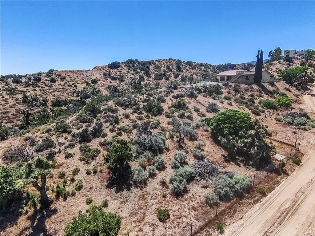 Additional image 73 of 8451 Zohra Canyon Rd, Pinon Hills, CA 92372