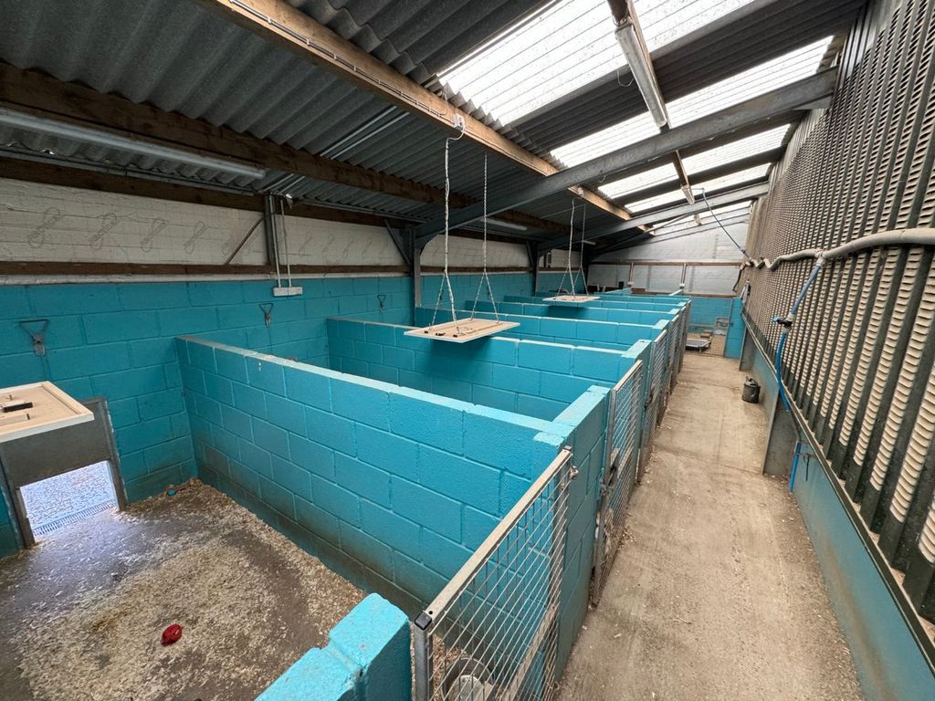 Additional image 59 of 5 bed farm for saleTalgarreg, Llandysul SA44