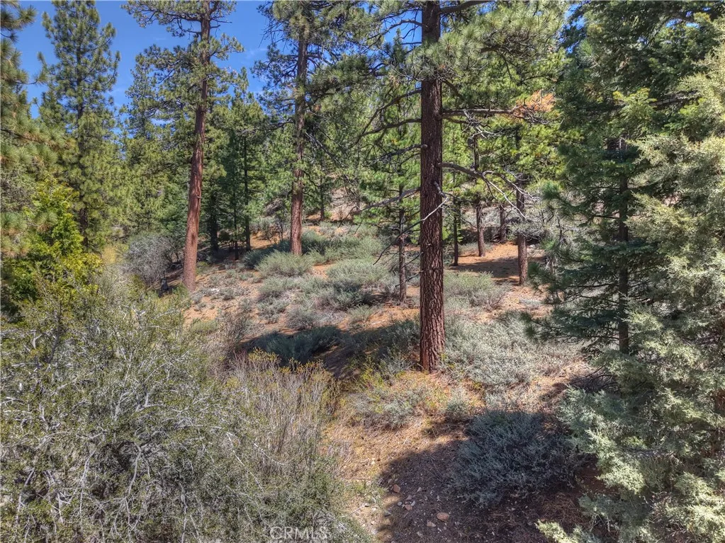 Additional image 65 of 1099 Canyon Rd, Fawnskin, CA 92333
