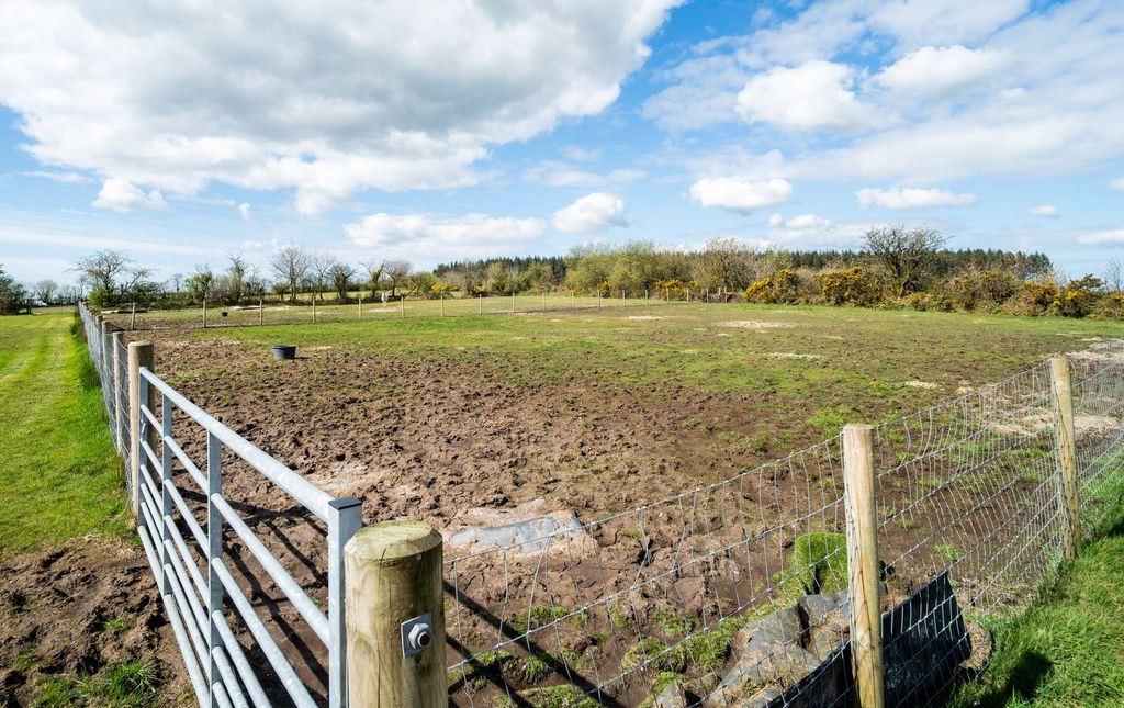 Additional image 46 of 4 bed detached house for saleBrynamlwg, Pencader SA39