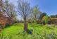 Additional image 10 of Park Road, Ipswich, Suffolk, IP1