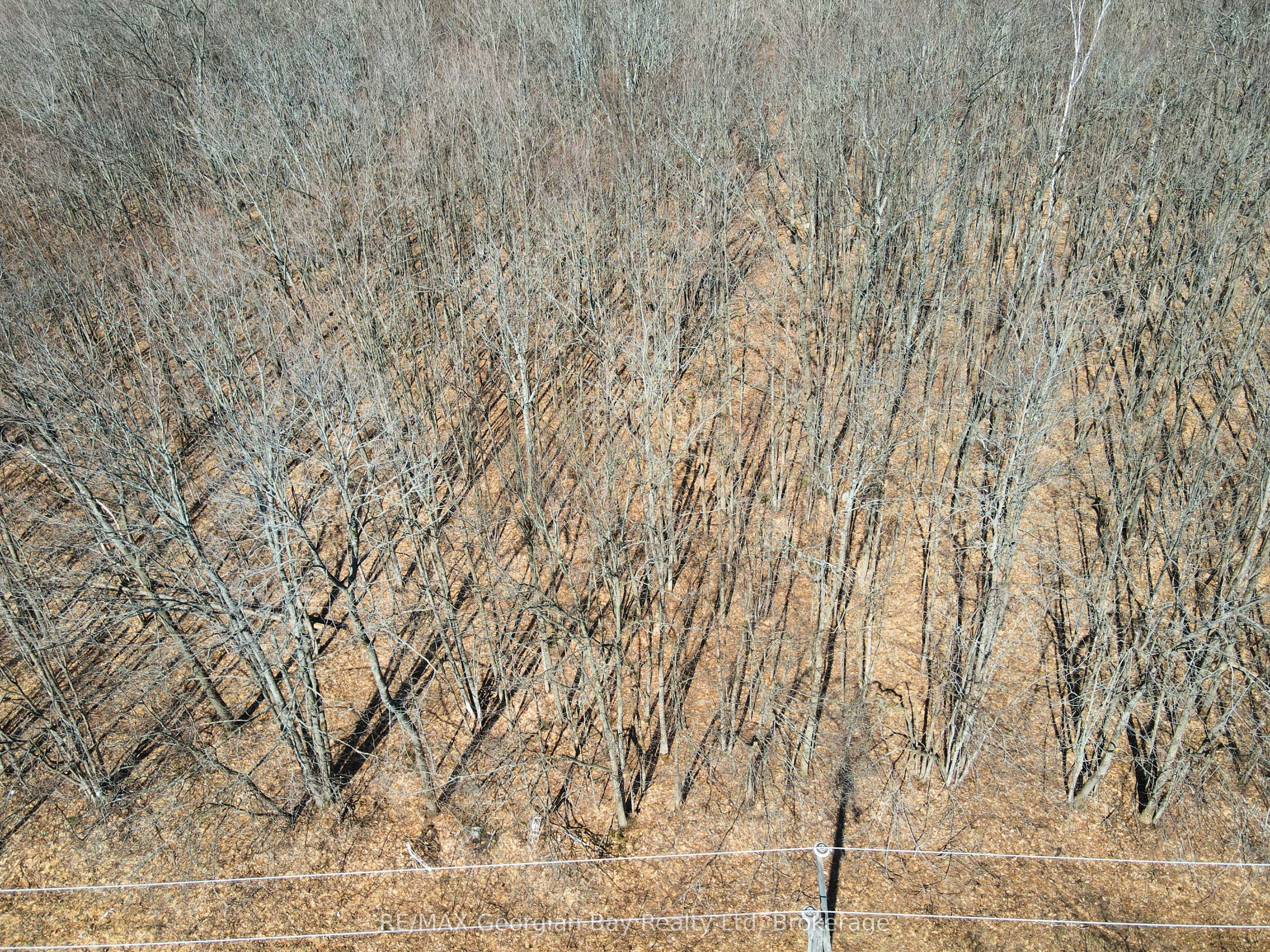 Additional image 2 of Lot 33 Macavalley Road, Tiny, ON, 00000