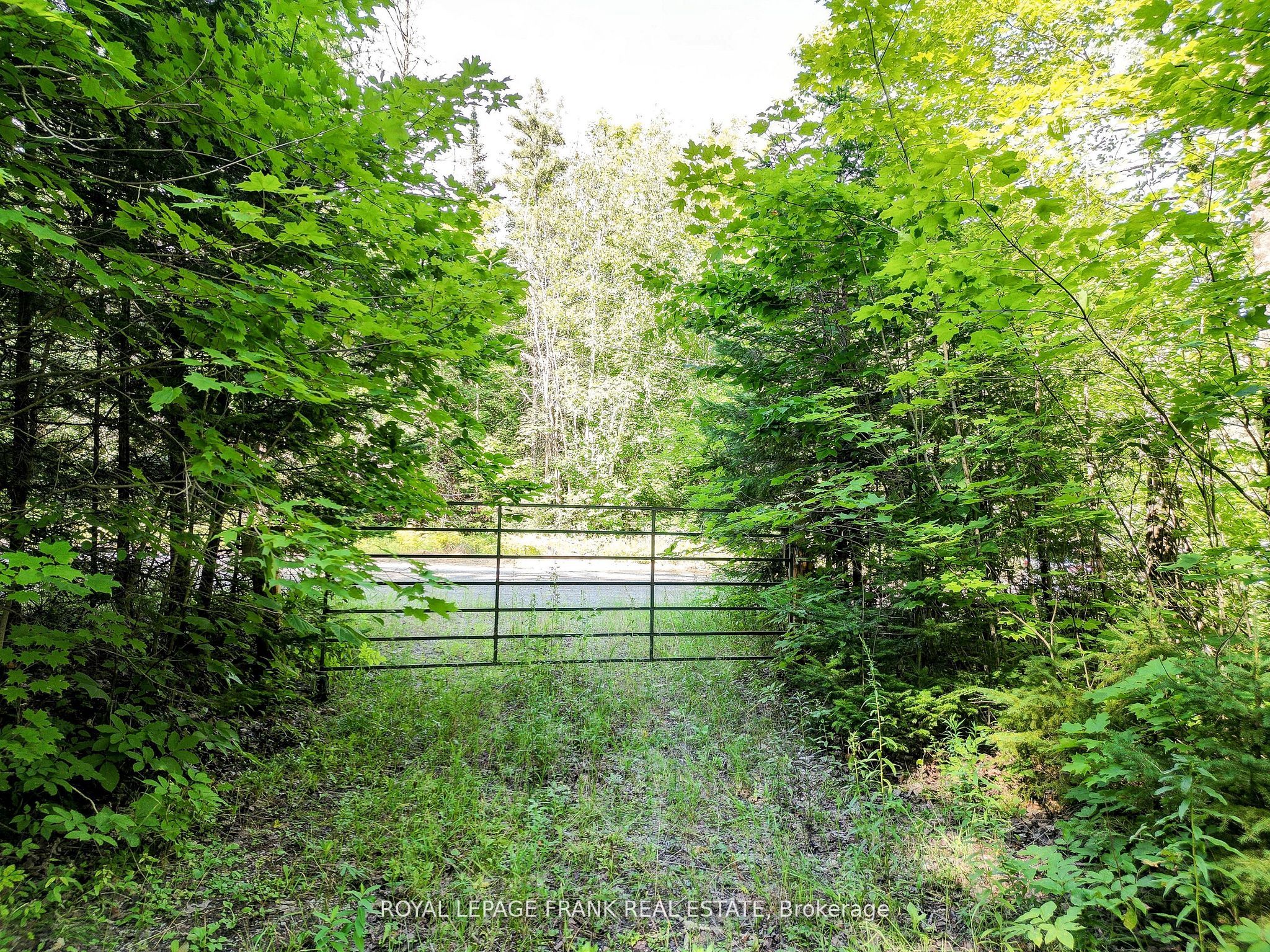 Additional image 6 of 843 Lasswade Road, North Kawartha, ON, K0L 1A0