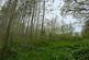 Additional image 25 of Llangeitho, Tregaron, SY25