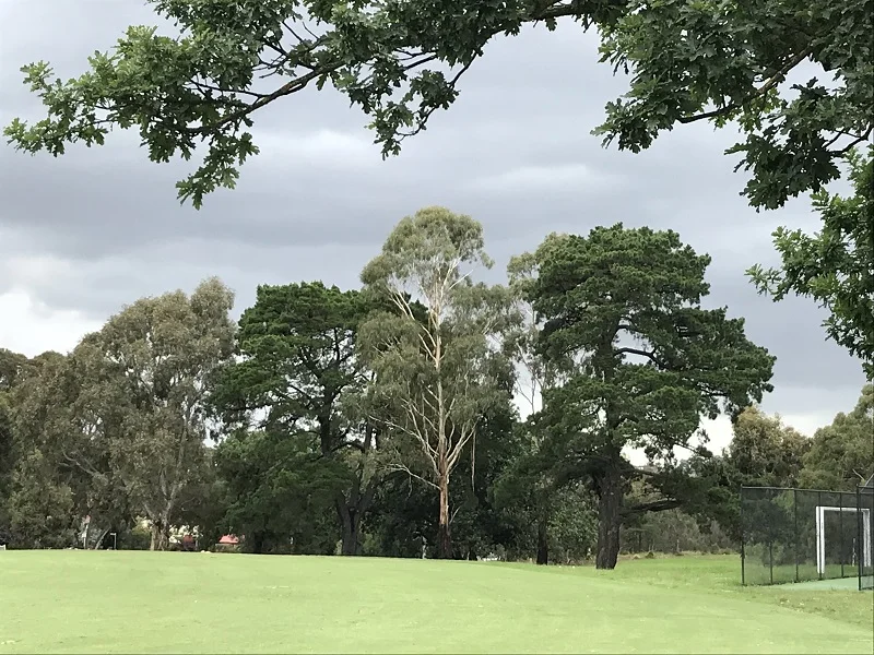 Additional image 5 of Fairfield VIC 3078
