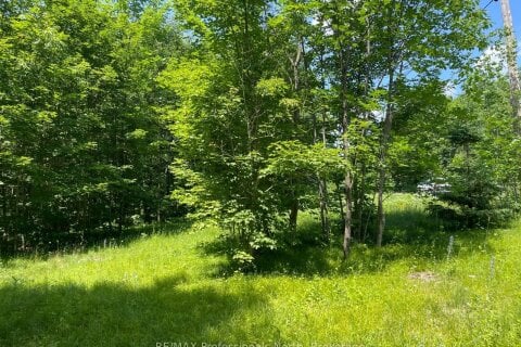 Additional image 8 of 0 Glamor Lake Road, Highlands East, ON, K0M 1R0