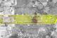 Additional image 42 of Selly Wick Road, Selly Park, Birmingham, West Midlands, B29