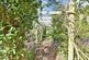 Additional image 13 of St. Leonards, Ringwood, BH24
