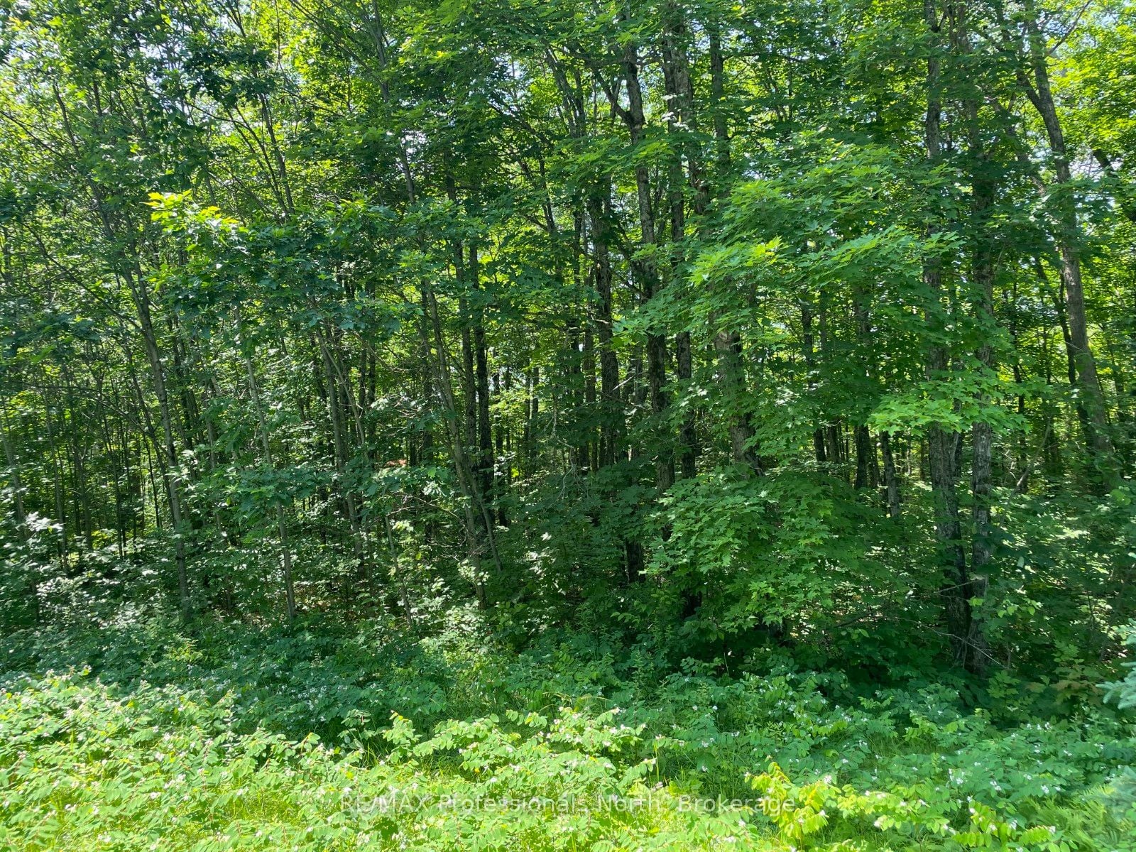 Additional image 3 of 0 Glamor Lake Road, Highlands East, ON, K0M 1R0