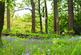 Additional image 34 of Andrew Lane, Stockport, SK6