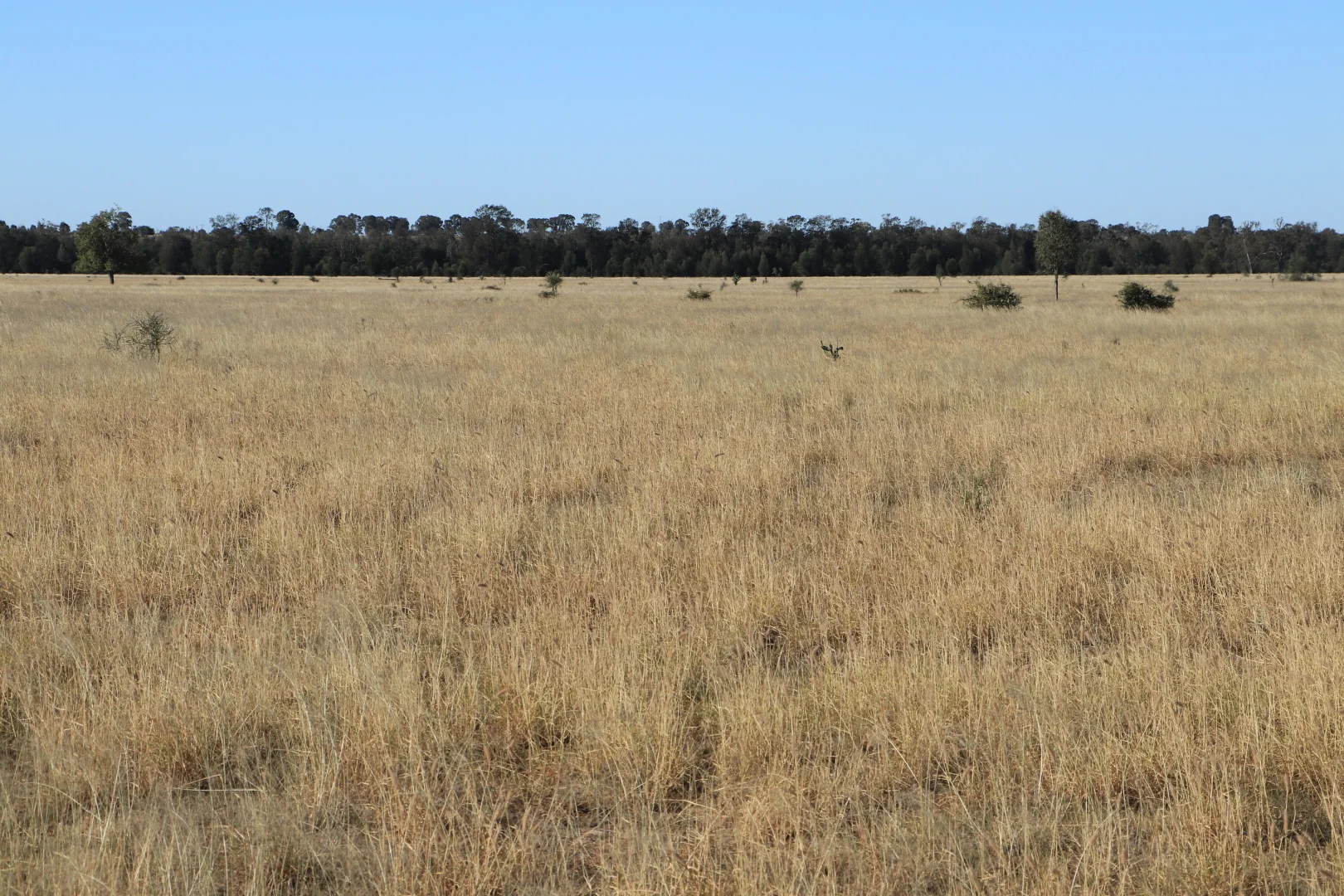 Additional image 19 of Roma QLD 4455