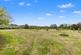 Additional image 37 of Pylle, Castle Cary