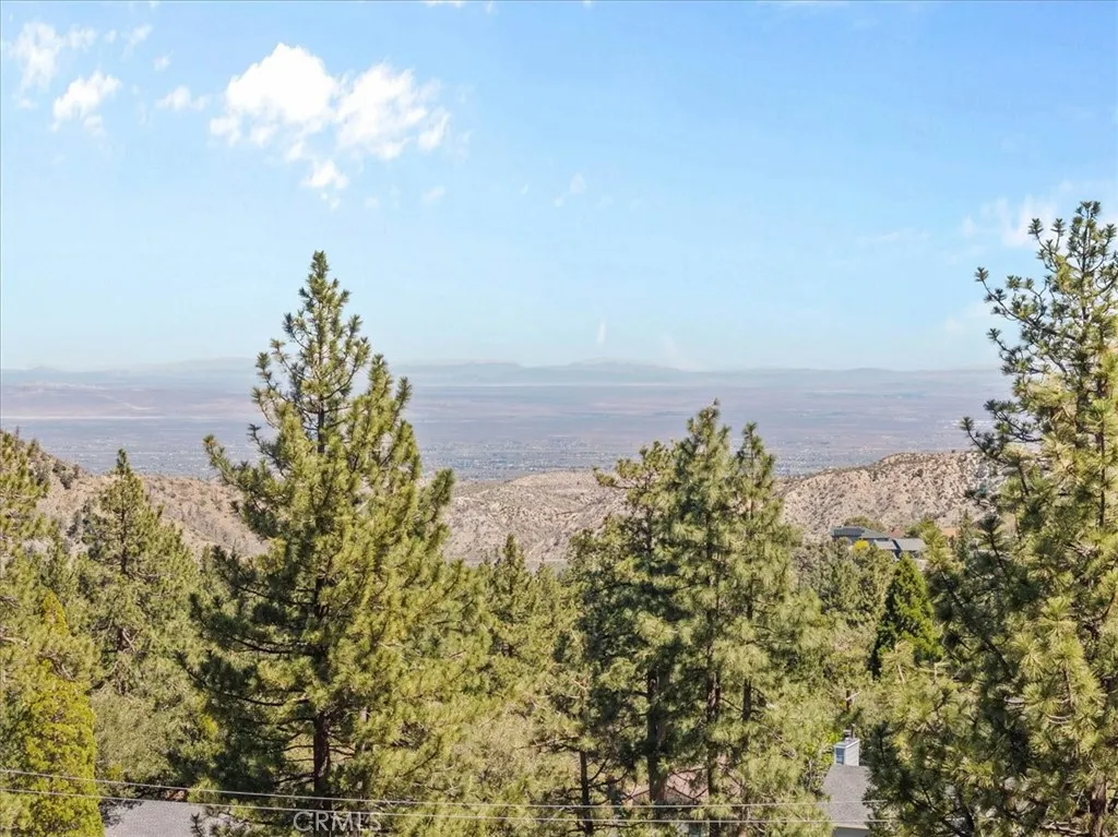 Additional image 83 of 5243 Desert View Dr, Wrightwood, CA 92397