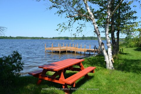 Additional image 8 of 1391 Portage Road, Kawartha Lakes, ON, K0M 2B0