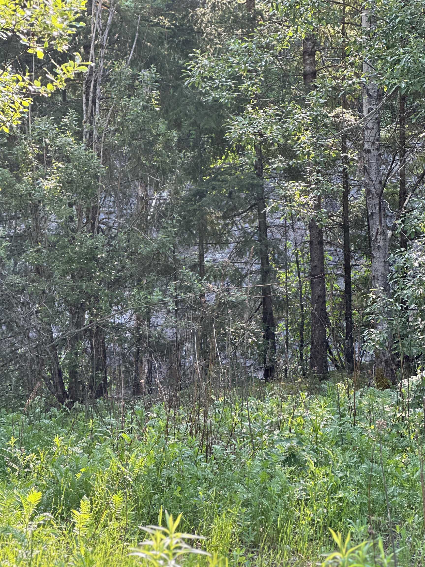 Additional image 4 of 21647 Thacker Mtn Road, Hope, BC, V0X 1L1
