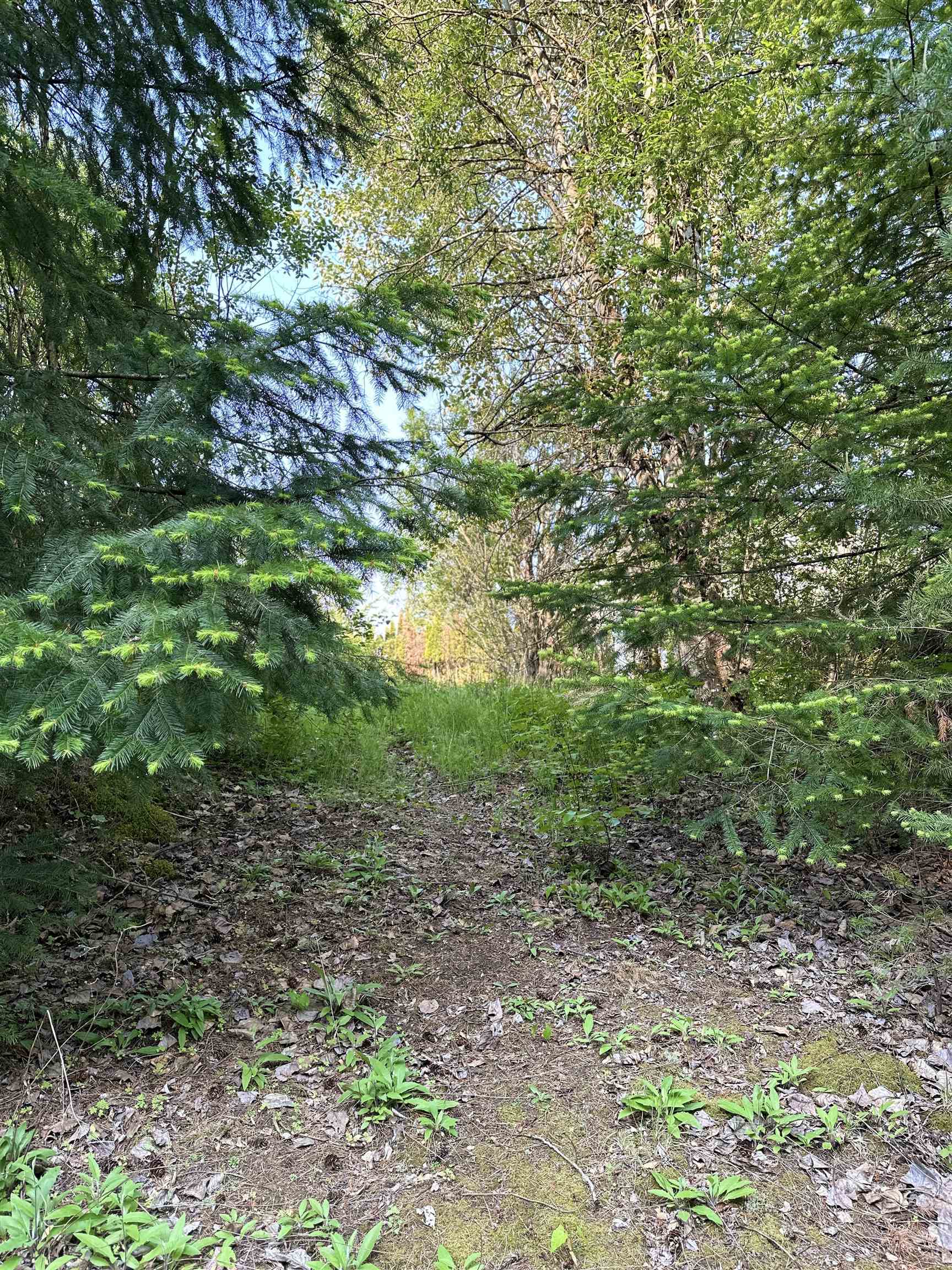 Additional image 5 of 21647 Thacker Mtn Road, Hope, BC, V0X 1L1