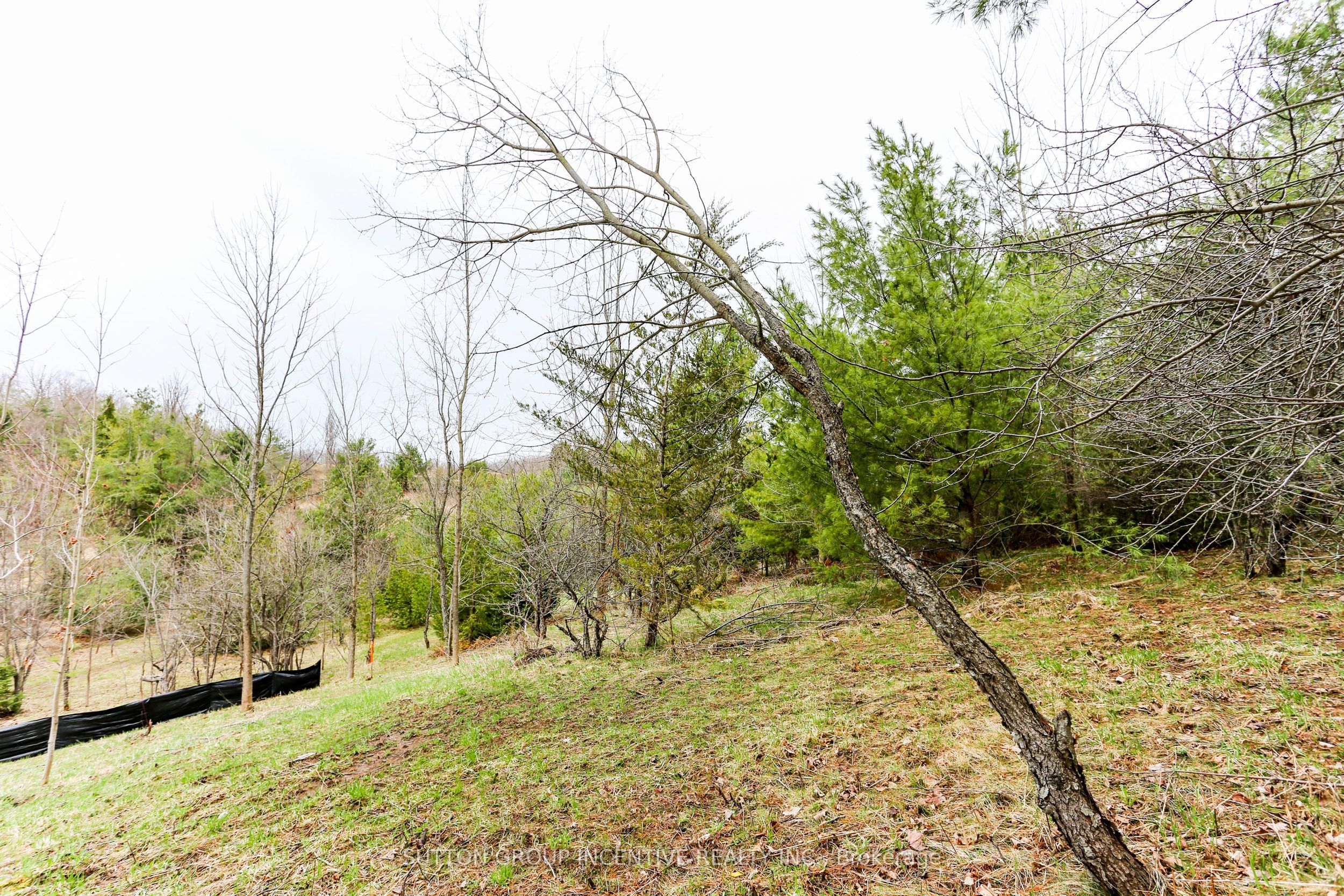 Additional image 5 of Part 4-2774 Old Second Road S, Springwater, ON, L9X 1P6