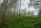 Additional image 51 of Llangeitho, Tregaron, SY25