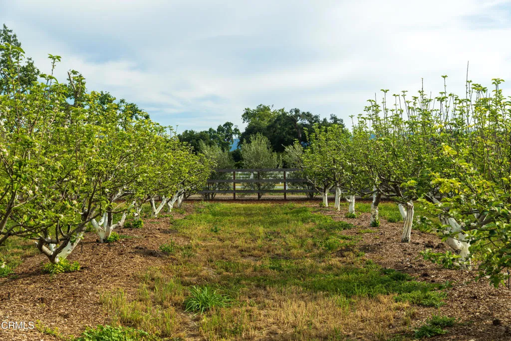 Additional image 32 of 2275 Alamo Pintado Road, Solvang, CA 93463