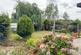 Additional image 13 of Thame, Oxfordshire