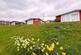 Additional image 2 of Llangain, Carmarthen SA33