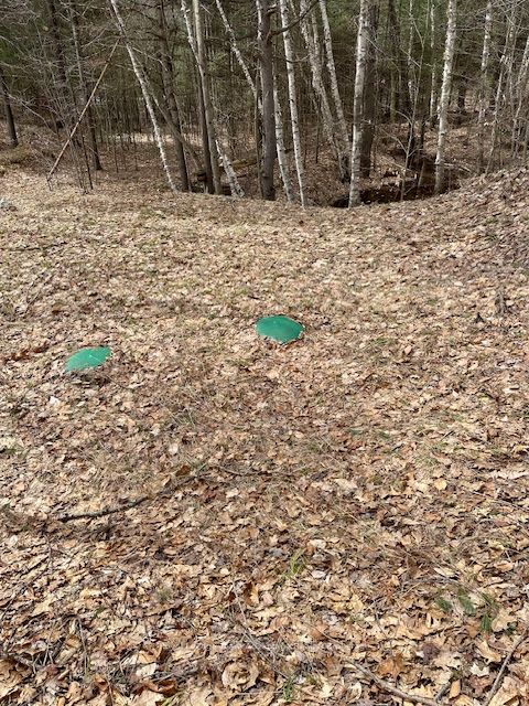 Additional image 5 of 252 Nobel Road, Mcdougall, ON, P2A 1H0