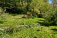Additional image 15 of Fronallt, Dolgellau, LL40 2YL