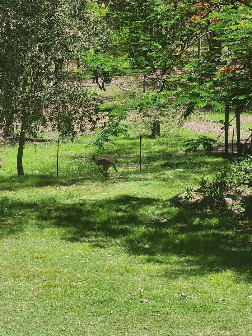 Additional image 24 of Curra QLD 4570