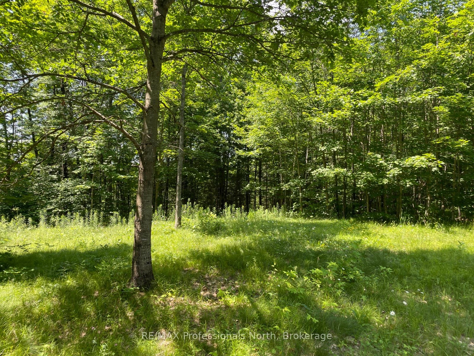 Additional image 5 of 0 Glamor Lake Road, Highlands East, ON, K0M 1R0