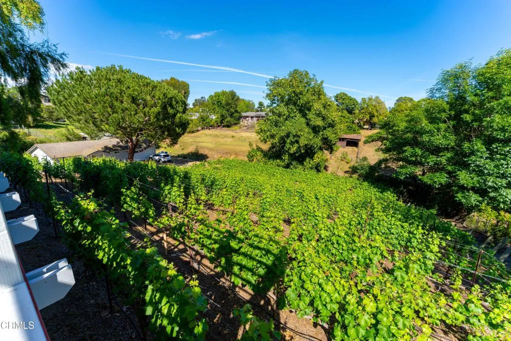 Additional image 70 of 5856 La Cumbre Road, Somis, CA 93066