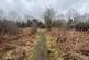 Additional image 5 of Cilcain Road, Mold CH7