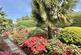 Additional image 31 of Laurel Close, St Leonards, BH24