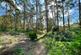 Additional image 12 of Woodlands Court, SANDHURST GU47