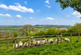 Additional image 49 of Bwlchllan, Lampeter, SA48