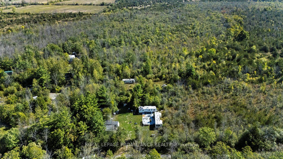 Additional image 4 of 467 Lighthall Road, Prince Edward County, ON, K0K 2P0