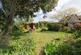 Additional image 30 of Walnut Tree Cottage, Millbank, Hoath, Canterbury, Kent