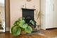 Additional image 14 of Rupert Road, Sheffield S7