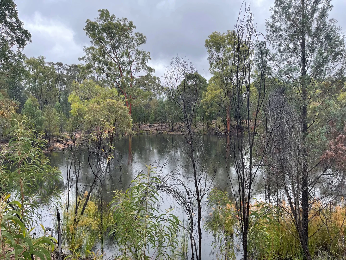 Additional image 19 of Tara QLD 4421