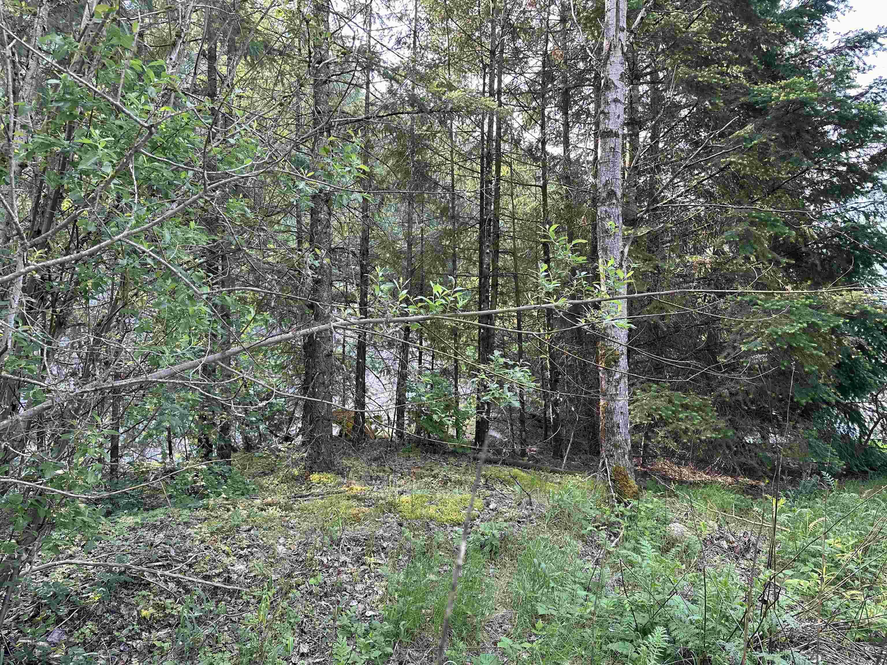 Additional image 3 of 21647 Thacker Mtn Road, Hope, BC, V0X 1L1