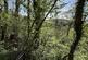 Additional image 7 of Llansawel, Llandeilo