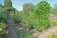 Additional image 17 of Bankside, Shrub Lane, TN19