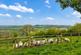 Additional image 22 of Bwlchllan, Lampeter, SA48