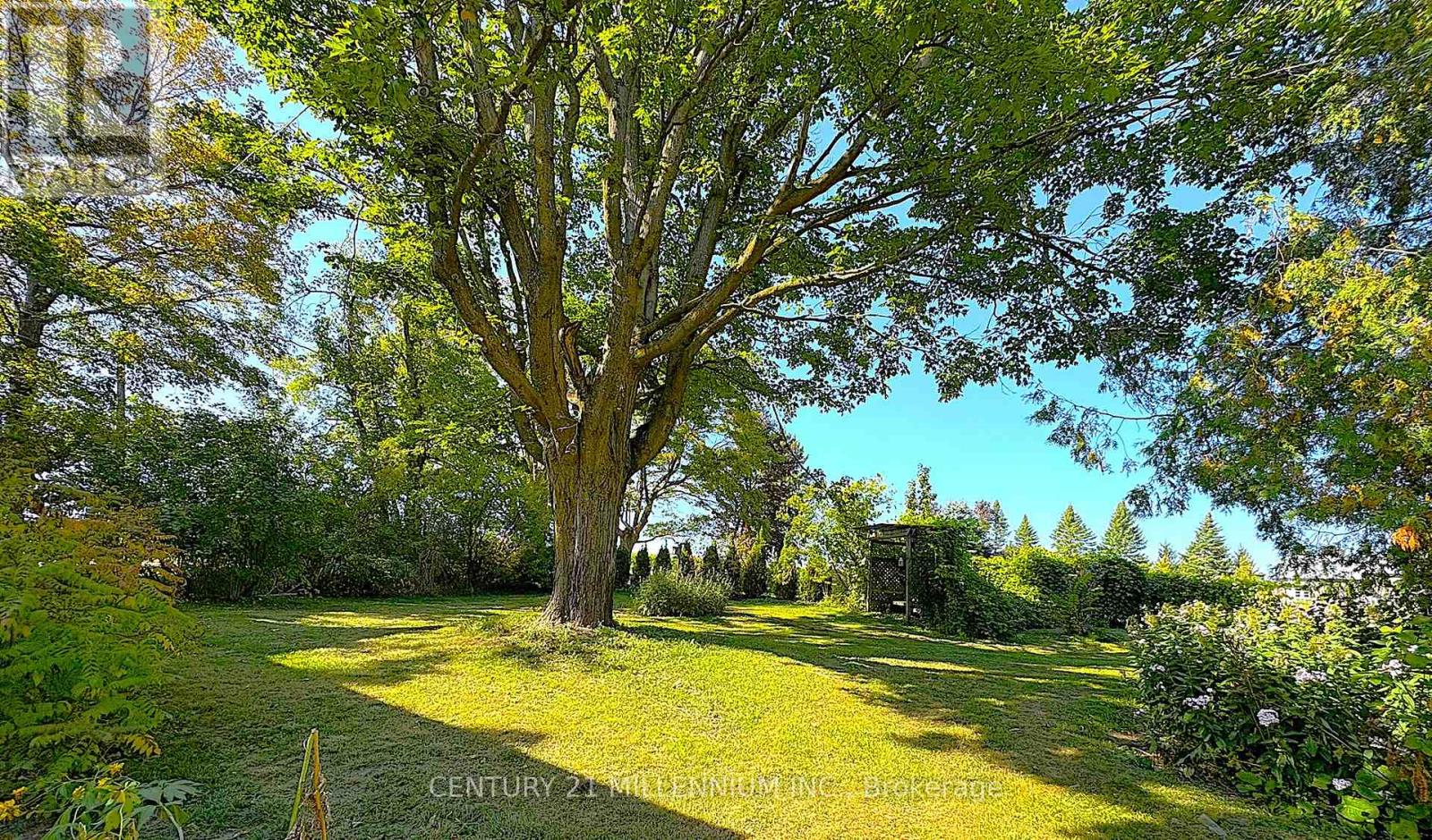 Additional image 6 of 598323 2nd Line W, Mulmur, ON, L9V0B6