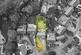 Additional image 24 of Beech Meadow, Ormskirk, L39 4XL