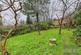 Additional image 23 of Netherfield Hill, Battle TN33